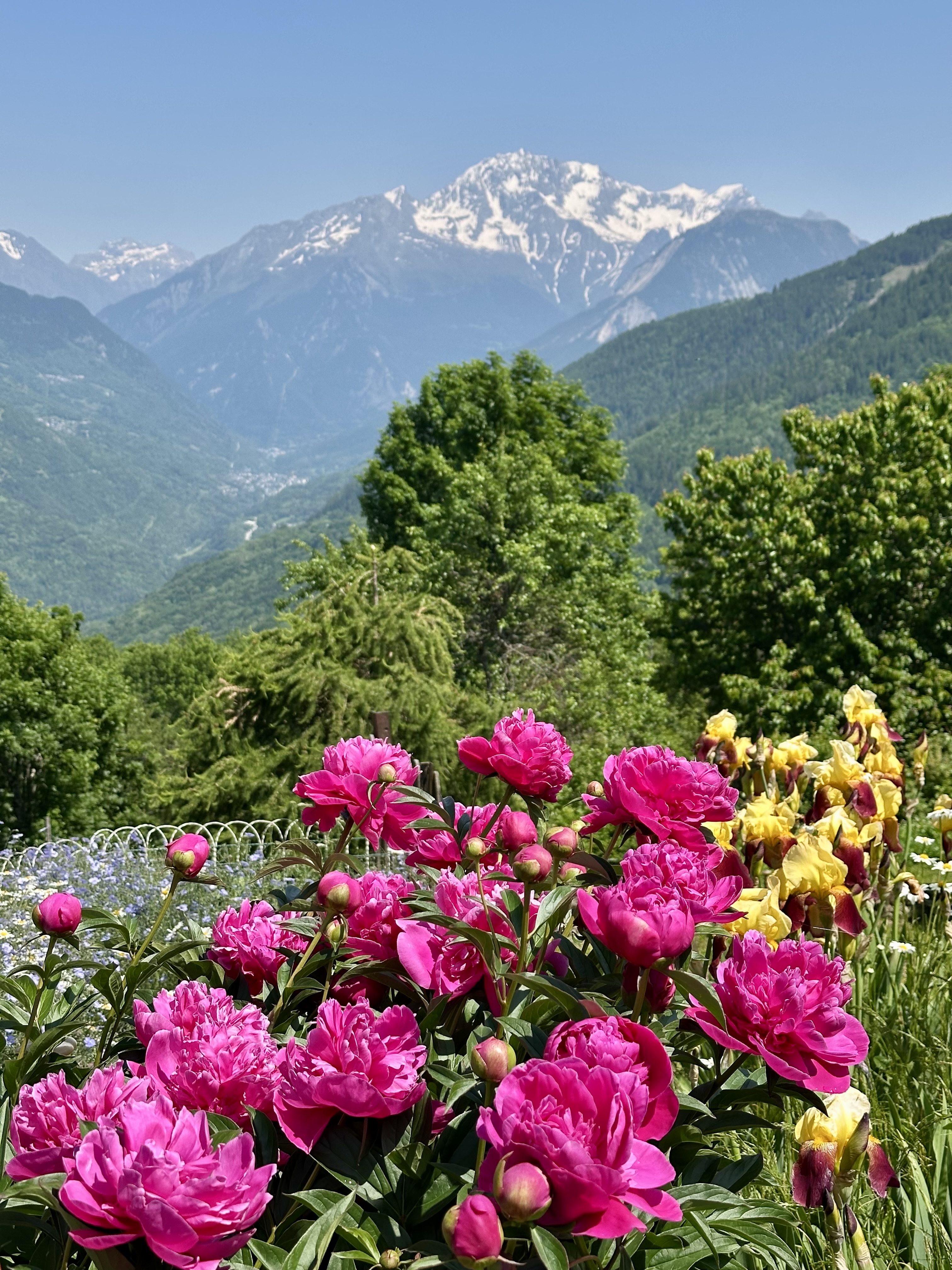 Summer in Meribel 
